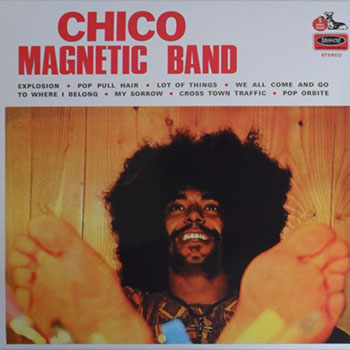 chico magnetic band chico magnetic band