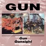 gun/gunsight gun/gunsight