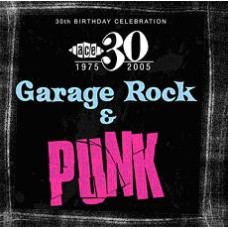 30th birthday sampler ~garage beat & punk rock