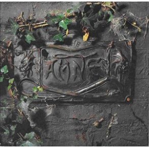 the black album (deluxe version)