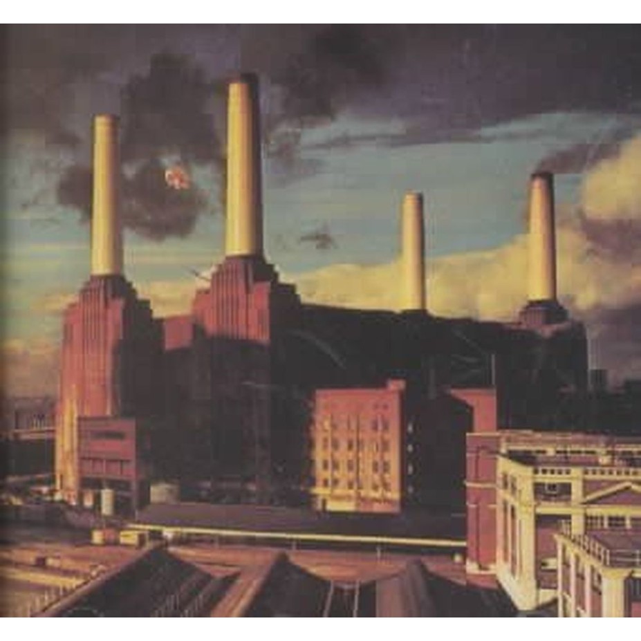 animals