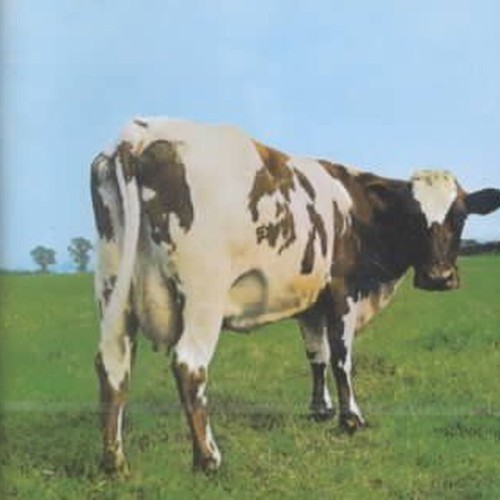 atom heart mother