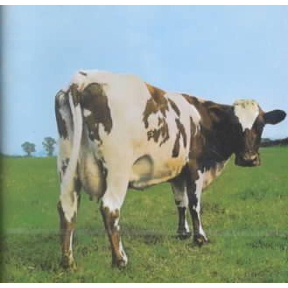 atom heart mother