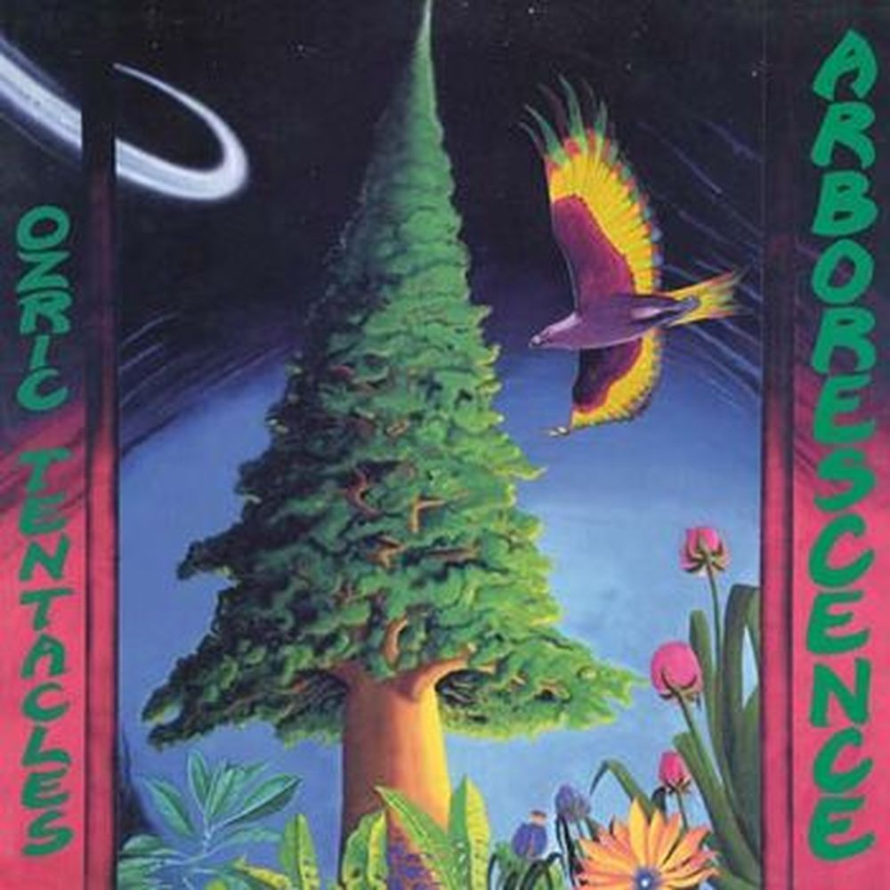 arborescence