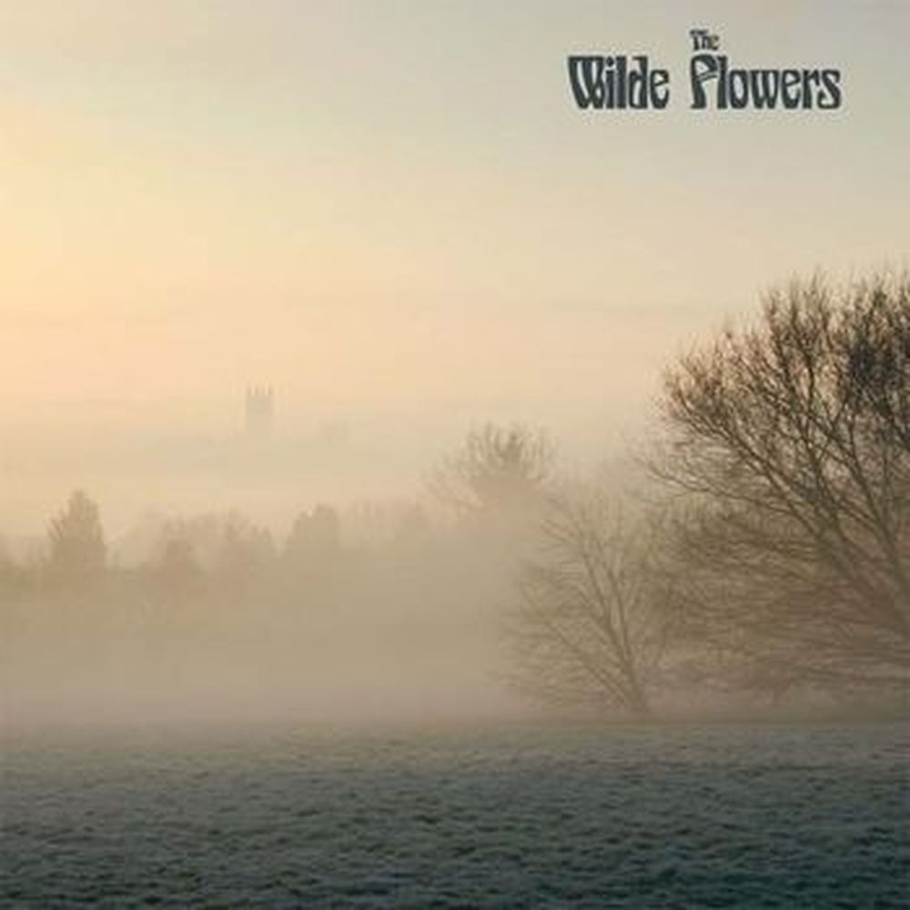 the wilde flowers
