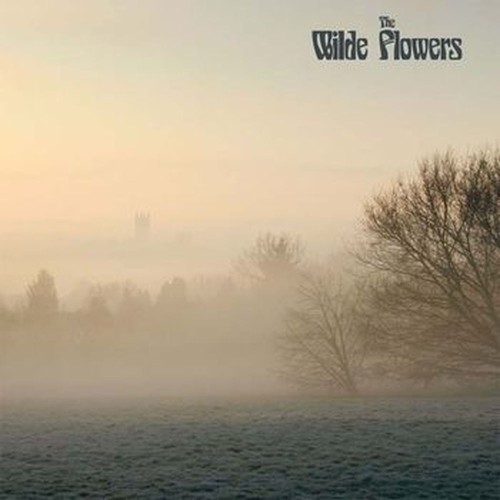 the wilde flowers