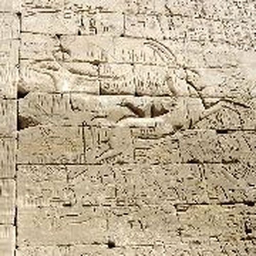 egypt strut