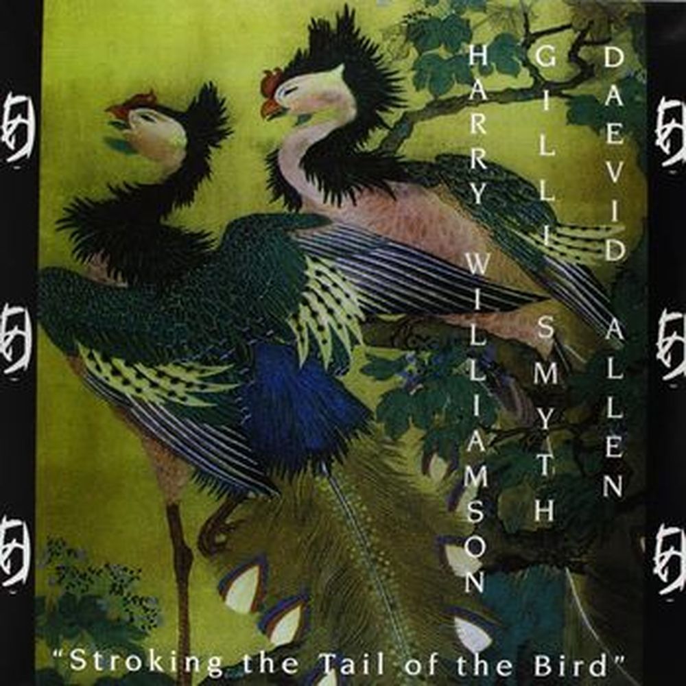 stroking the tail of the bird (+7in)