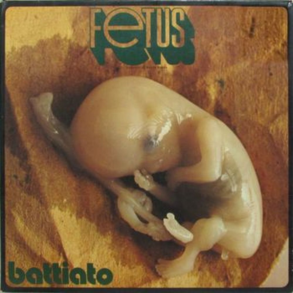fetus