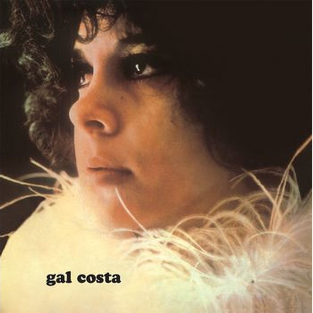 gal costa