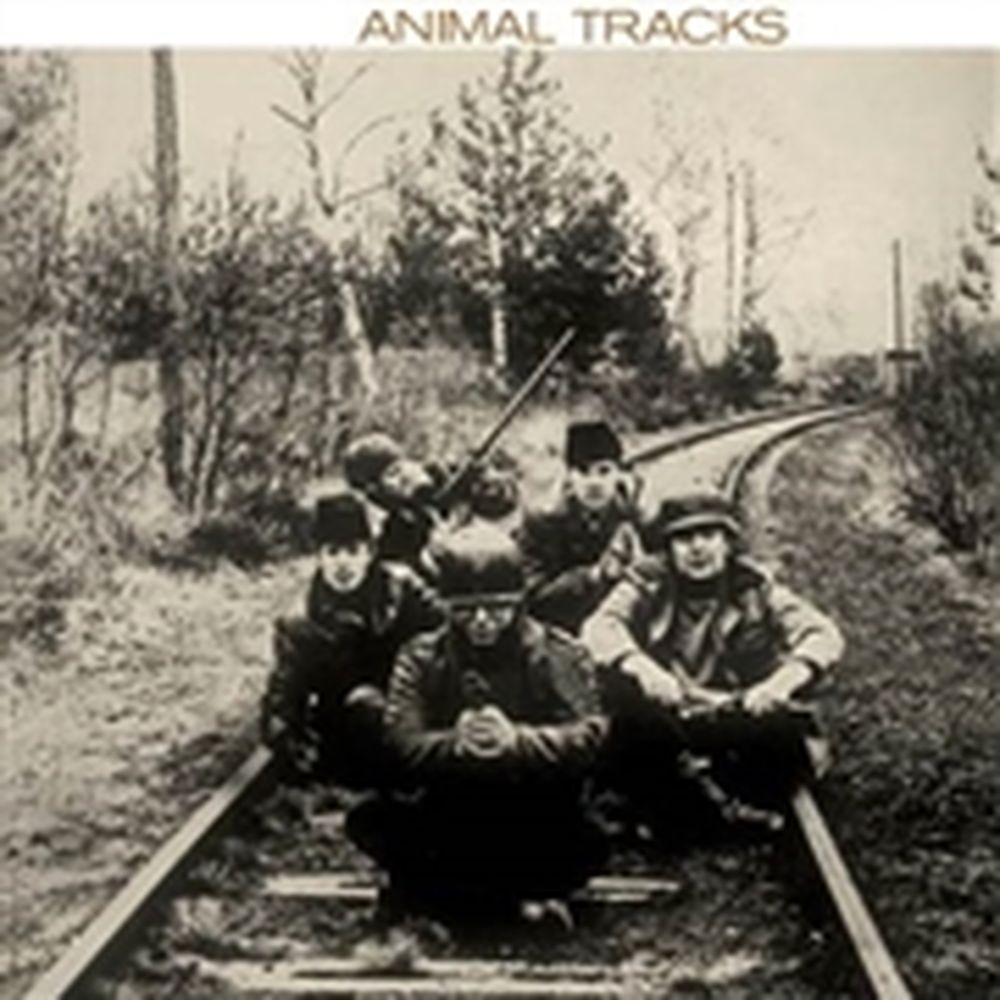 animal tracks