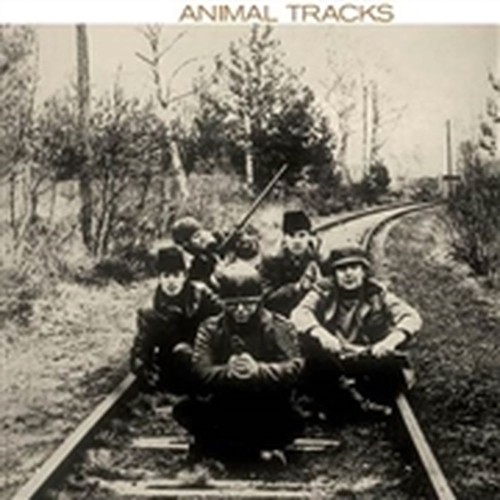 animal tracks