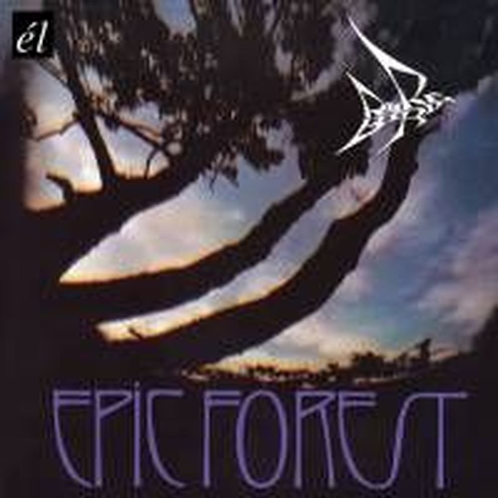 epic forest