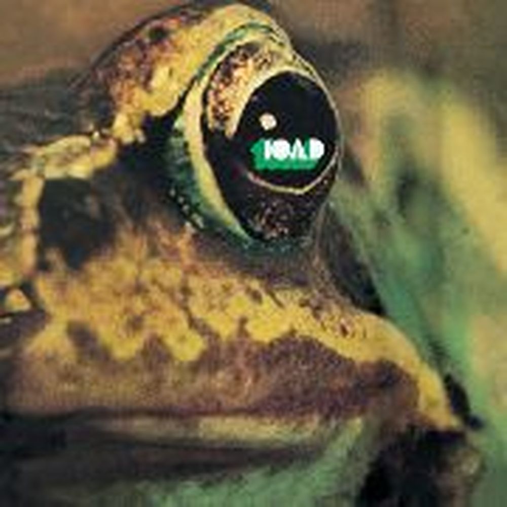 toad (special edition)