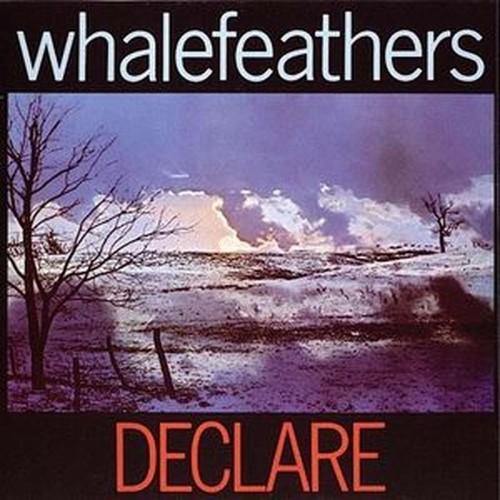 declare
