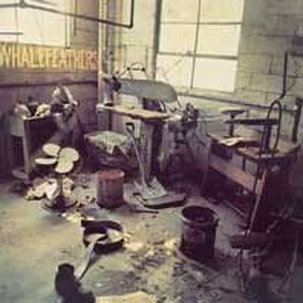 whalefeathers
