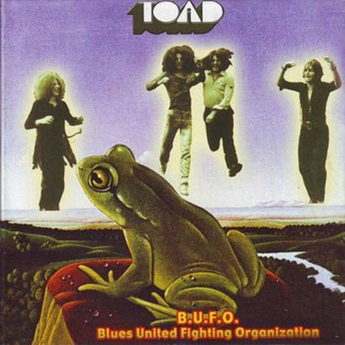 b.u.f.o. (blues united fighting  organization)-unreleased first album