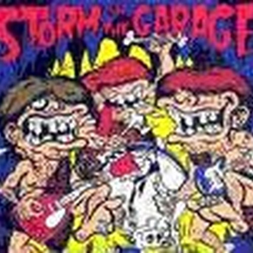 storm in the garage vol.2