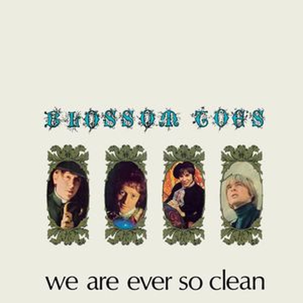 we are ever so clean