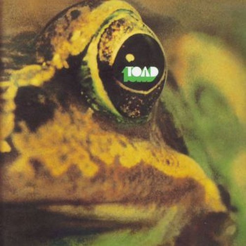toad (50th anniversary)