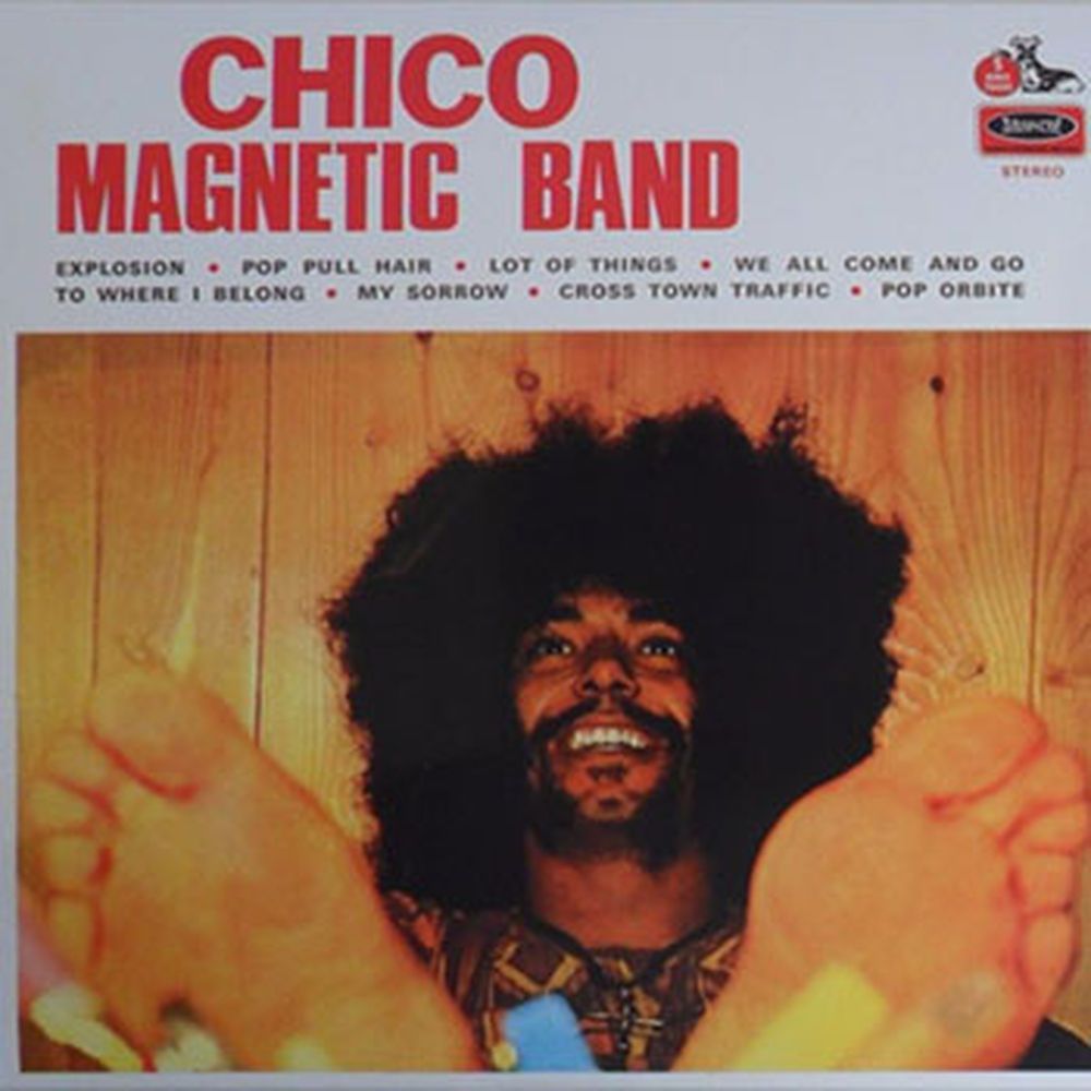 chico magnetic band