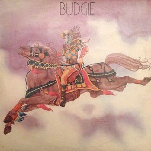 budgie