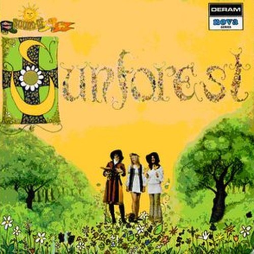 the sound of sun forest