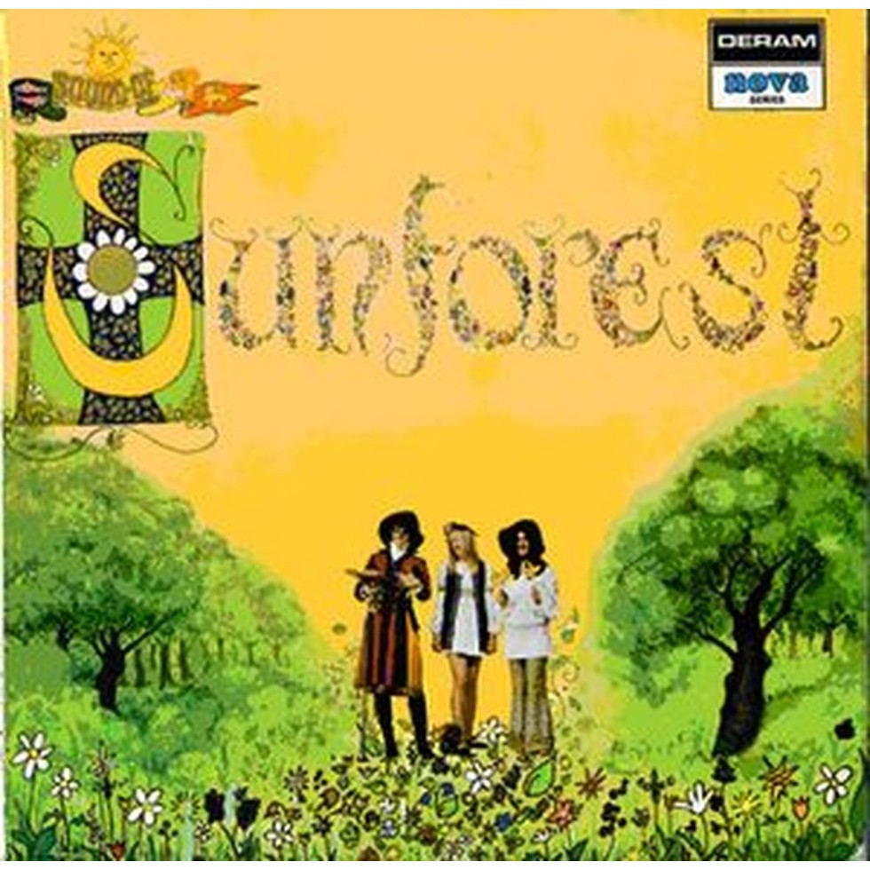the sound of sun forest