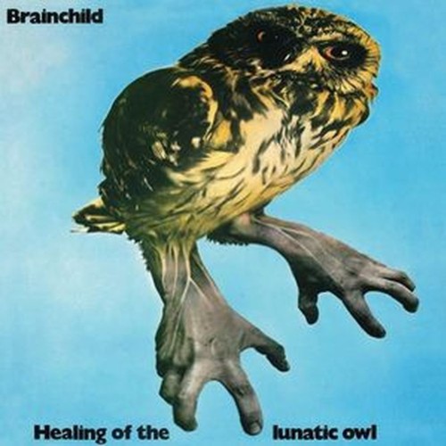 healing of the lunatic owl