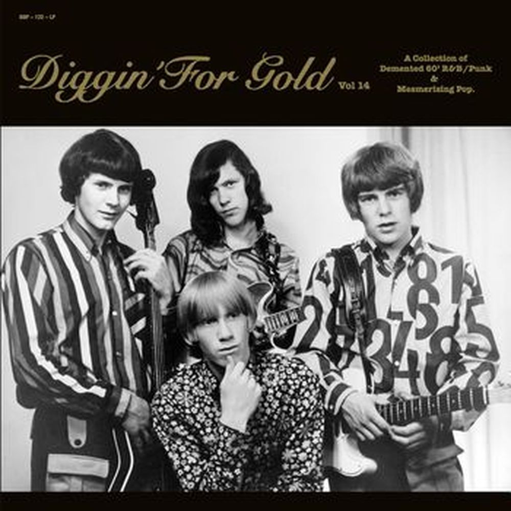 diggin' for gold vol 14 (a collection of demented 60' r&b/punk & mesmerizing pop.)