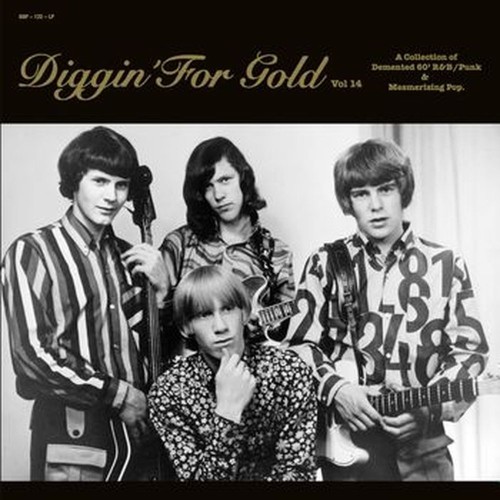 diggin' for gold vol 14 (a collection of demented 60' r&b/punk & mesmerizing pop.)