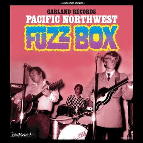 garland records - pacific northwest fuzz box (transition colour)