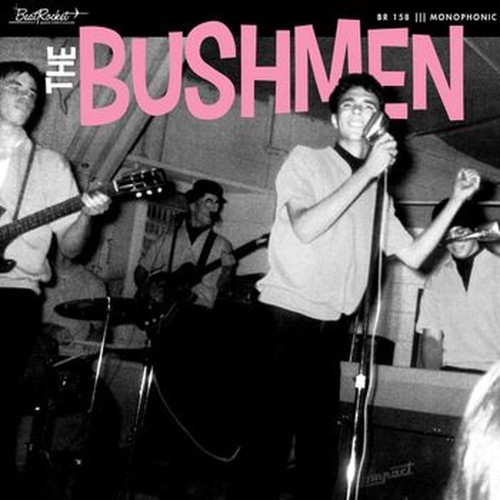 the bushmen