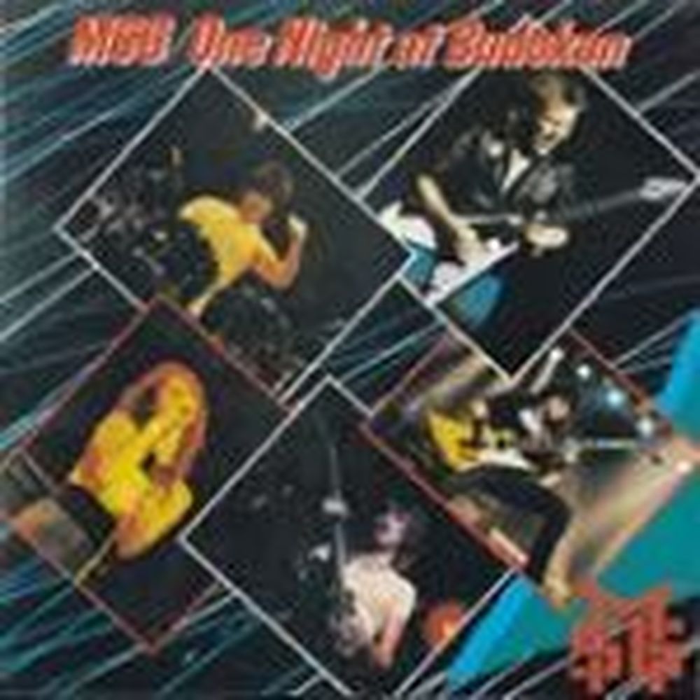 one night at budokan