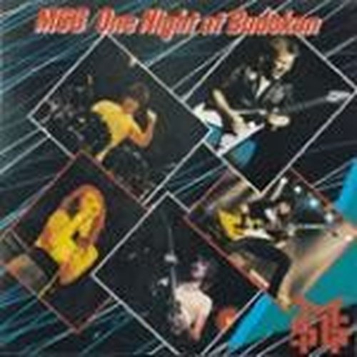 one night at budokan