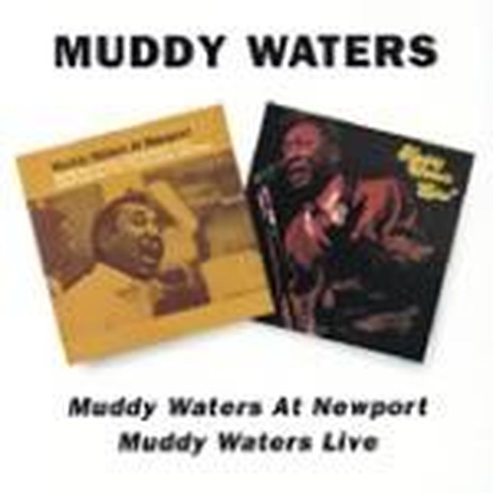 muddy waters at newport/muddy waters live
