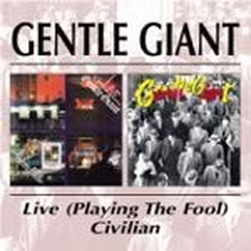 playing the fool/civilian