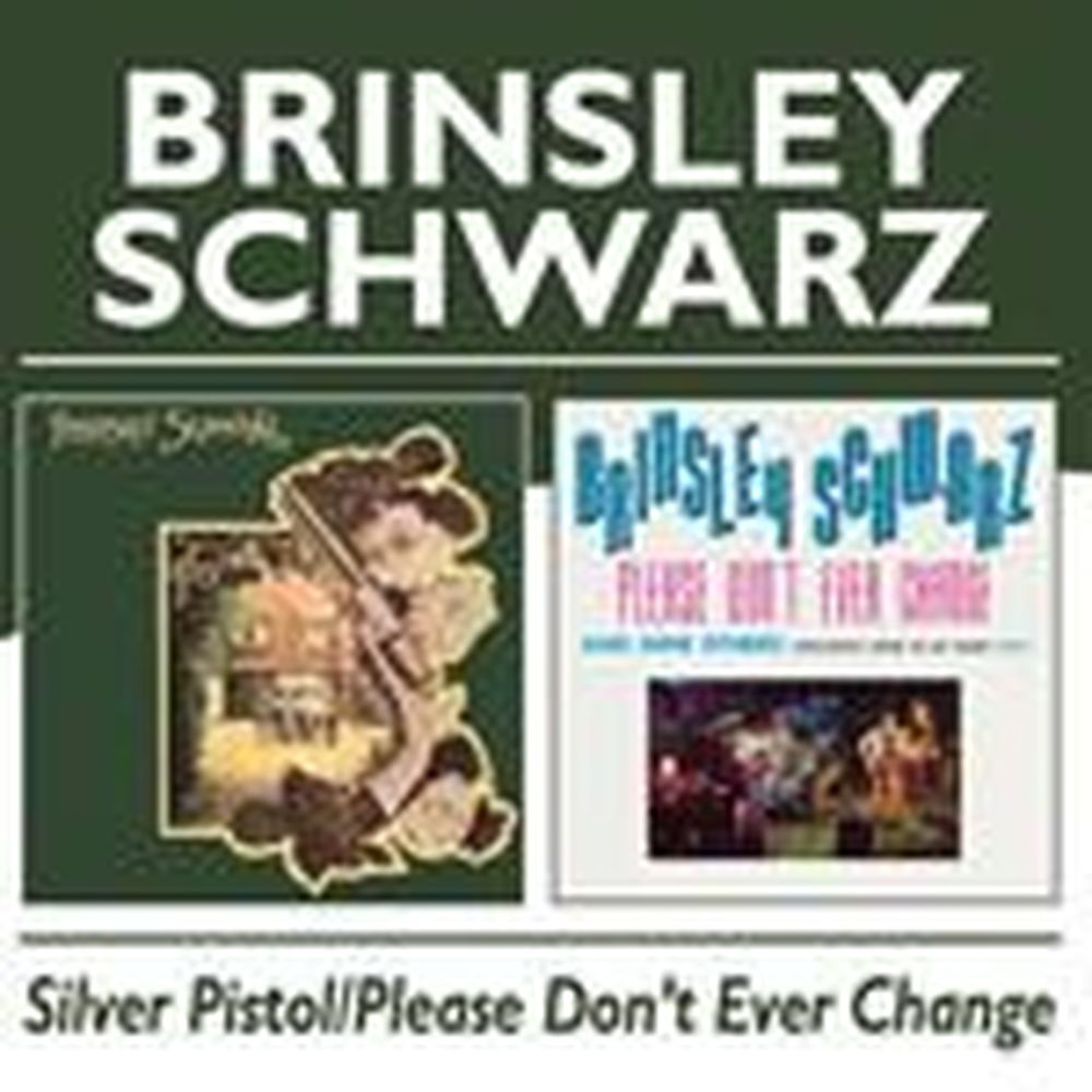 silver pistol/please don't ever change