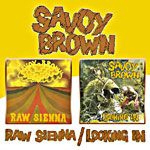 raw sienna / looking in