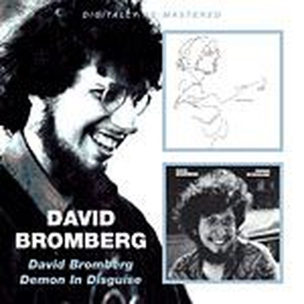 david bromberg / demon in disguise