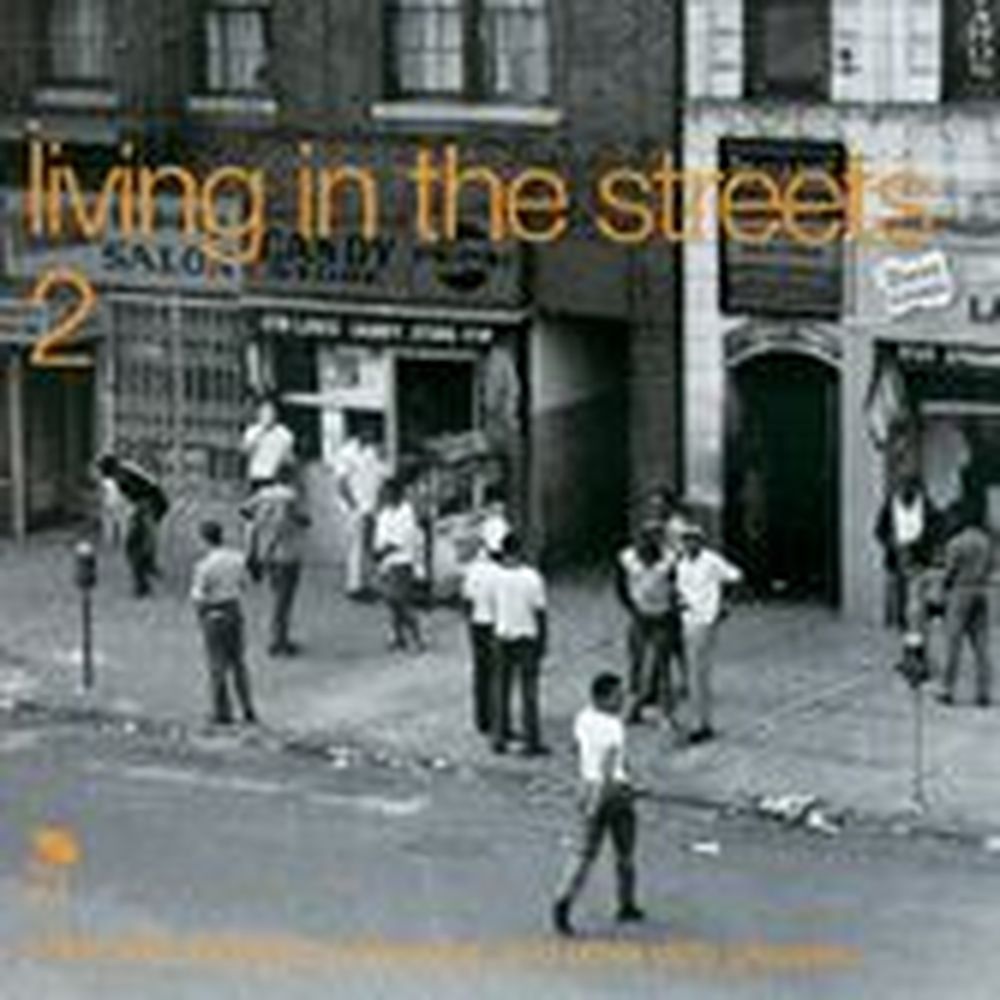 living in the streets vol 2