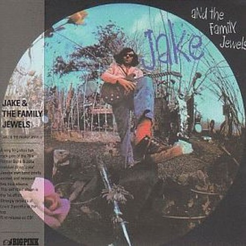 jake & the family jewels