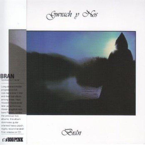 gwrach y nos