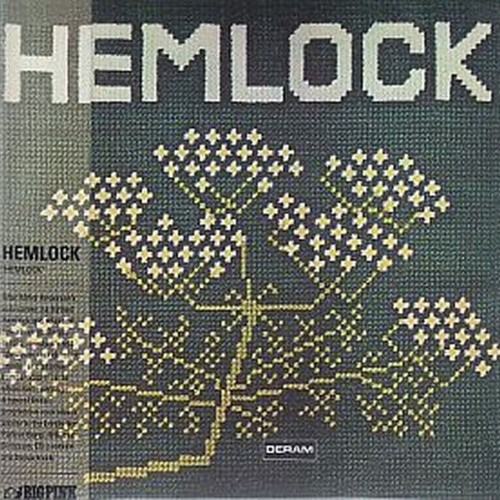 hemlock