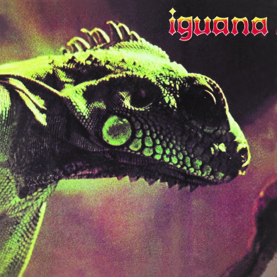 iguana