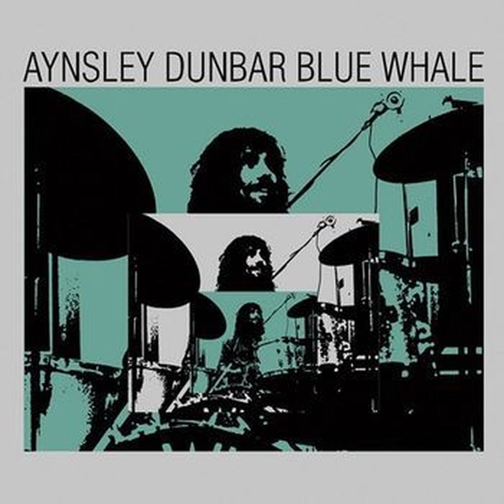blue whale