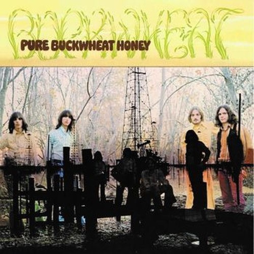 pure buckwheat honey