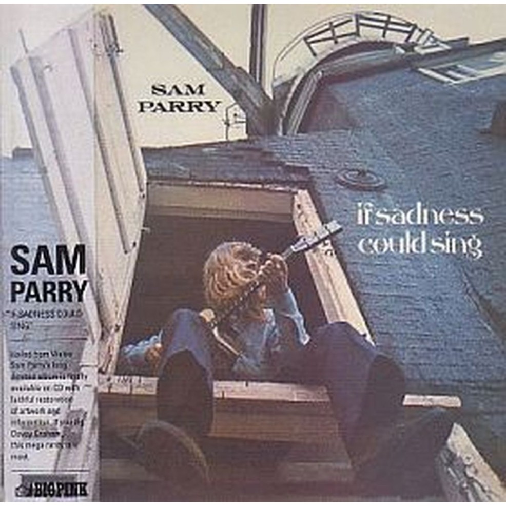 if sadness could sing