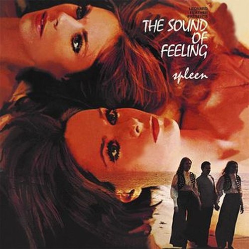 spleen