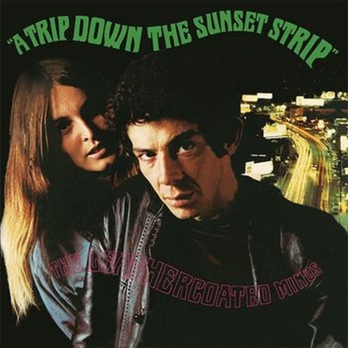 a trip down the sunset strip